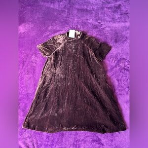 NWT Paris Atelier & Other Stories Plum/Chocolate BrownVelvet Dress Size 6